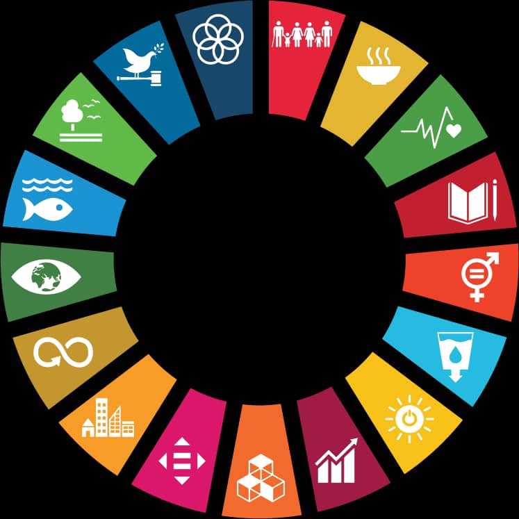 EYT Academy and the UN Sustainable Development Goals